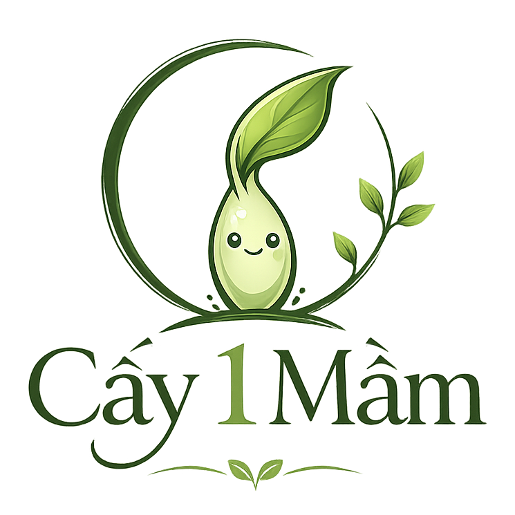 CAY1MAM
